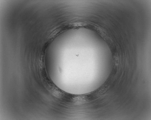 X0000062920422200601271810