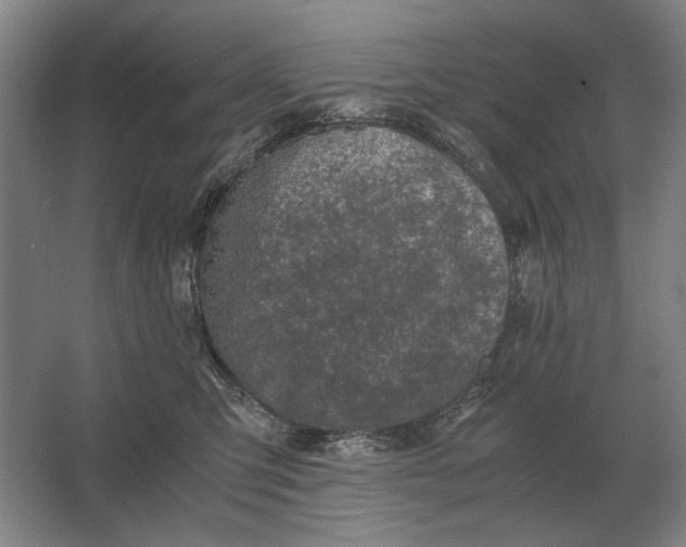 X0000062920423200601271810