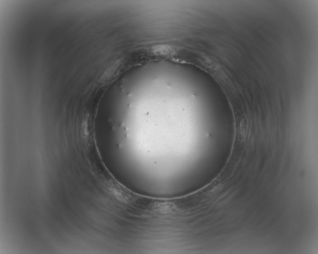 X0000062920424200601271810