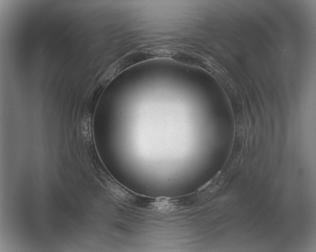 X0000062920425200601271810