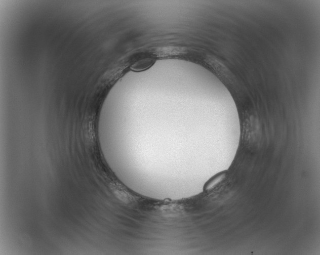 X0000062920426200601271810