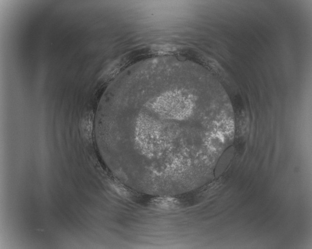 X0000062920427200601271810