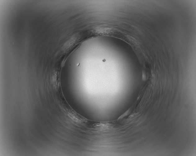 X0000062920428200601271810