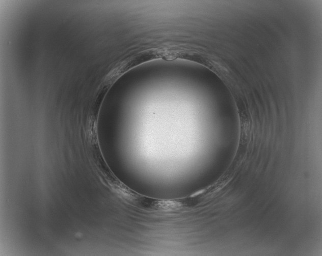 X0000062920429200601271810