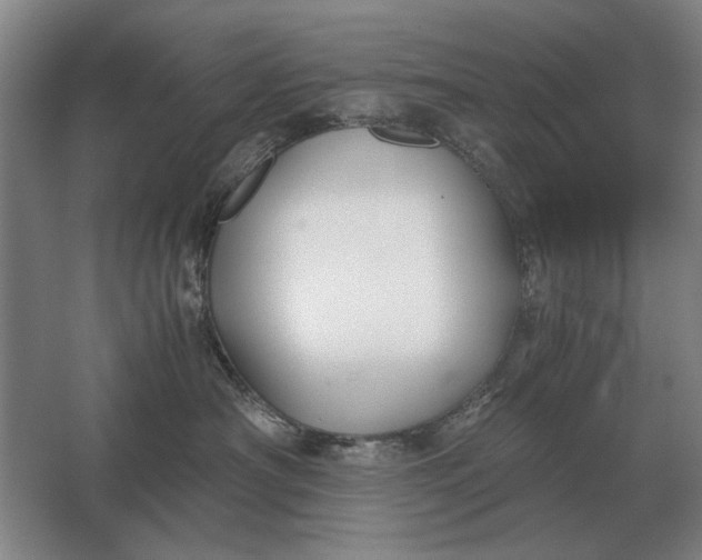 X0000062920430200601271810