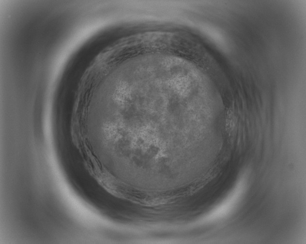 X0000062920431200601271810