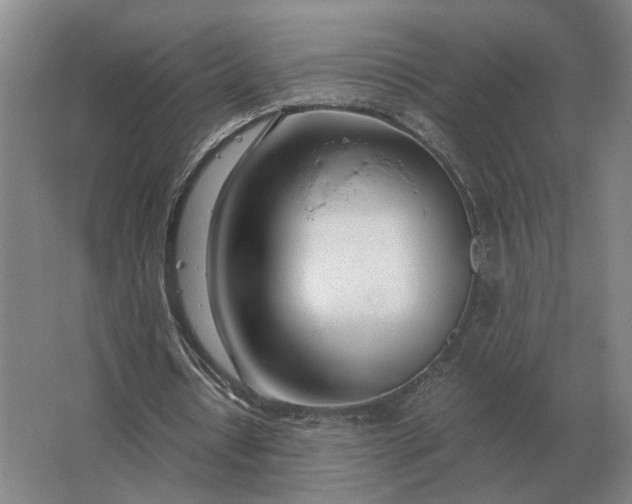 X0000062920434200601271809