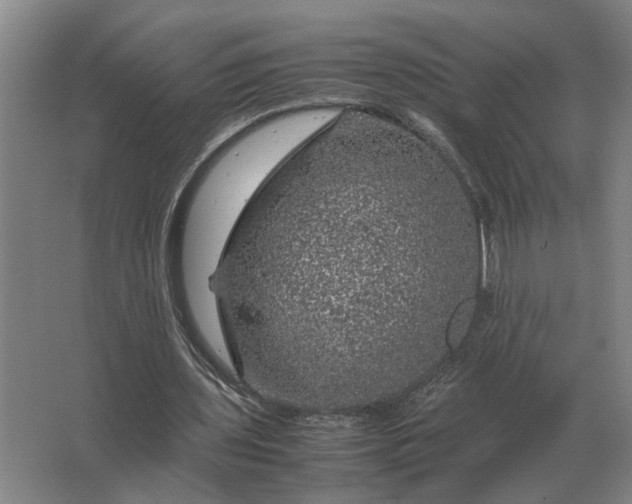 X0000062920435200601271809