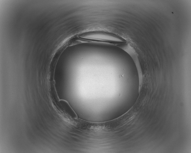 X0000062920440200601271809