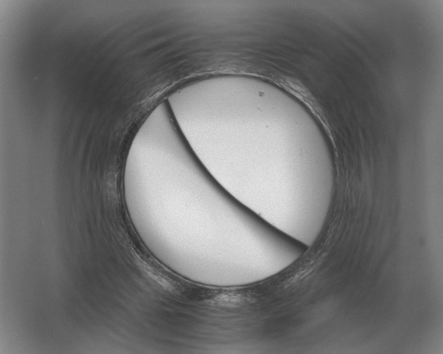 X0000062920441200601271809