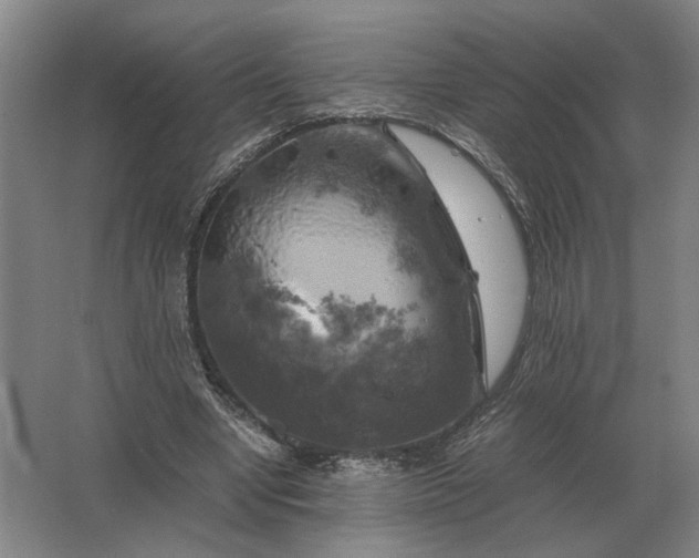 X0000062920442200601271809