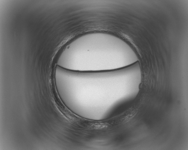 X0000062920443200601271809