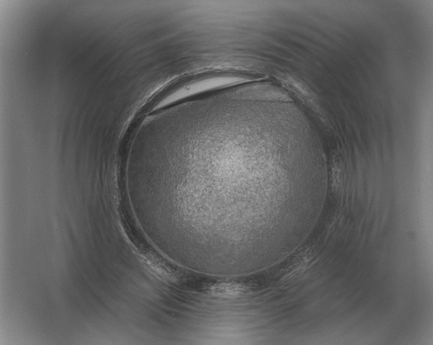 X0000062920444200601271809