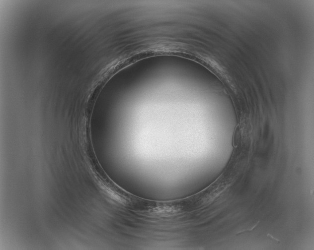 X0000062920445200601271809