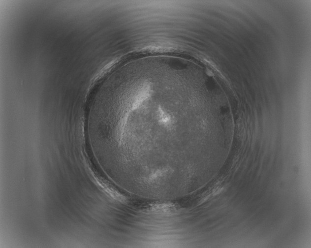 X0000062920446200601271809