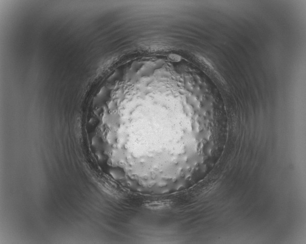 X0000062920447200601271809