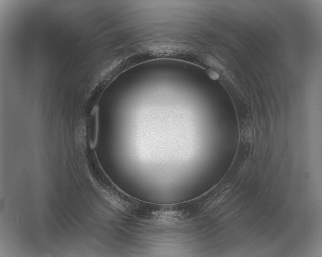 X0000062920448200601271809