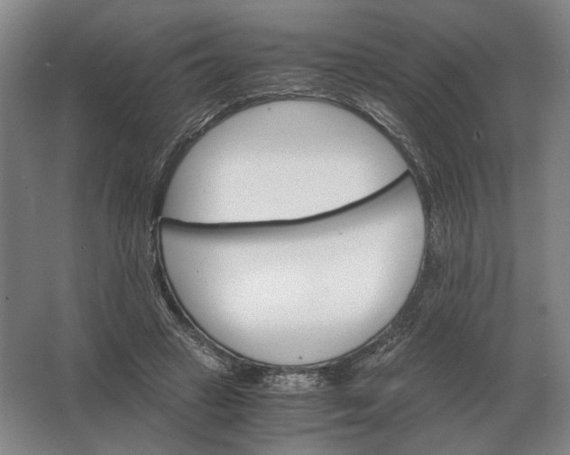 X0000062920449200601271809