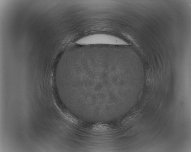 X0000062920451200601271809