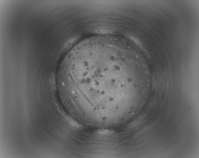 X0000062920453200601271809