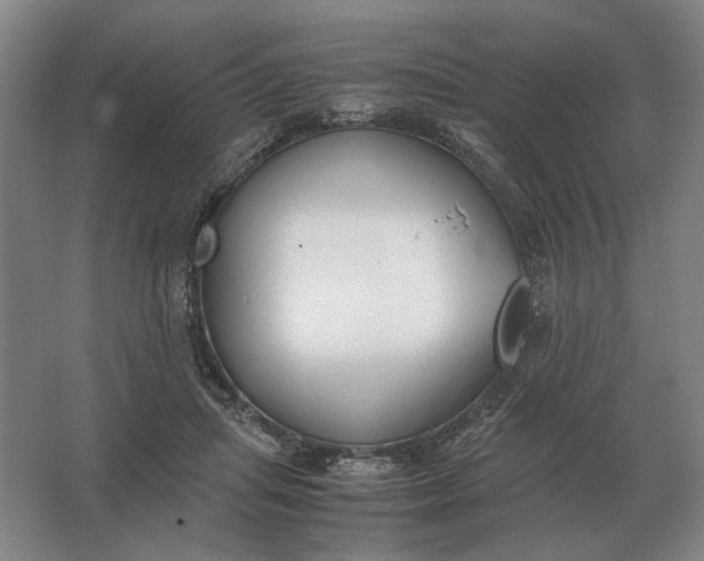 X0000062920455200601271809