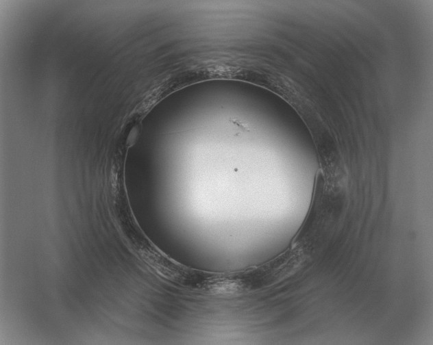 X0000062920456200601271810