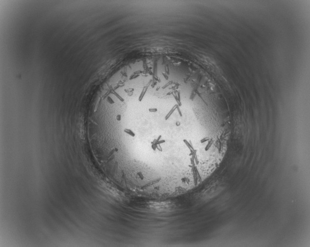 X0000062920457200601271810