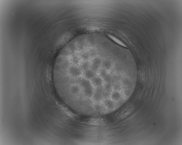 X0000062920458200601271810