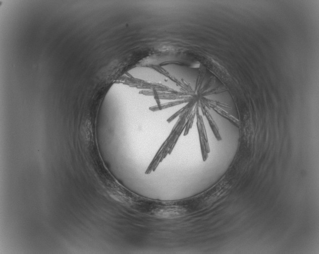 X0000062920459200601271810