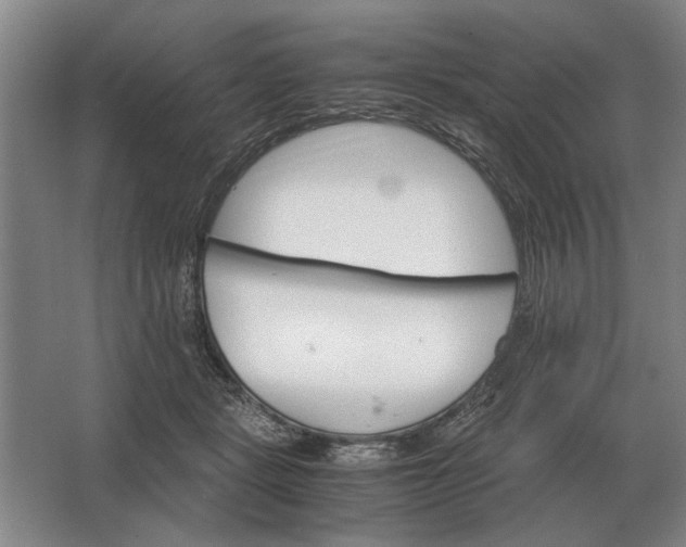 X0000062920461200601271810