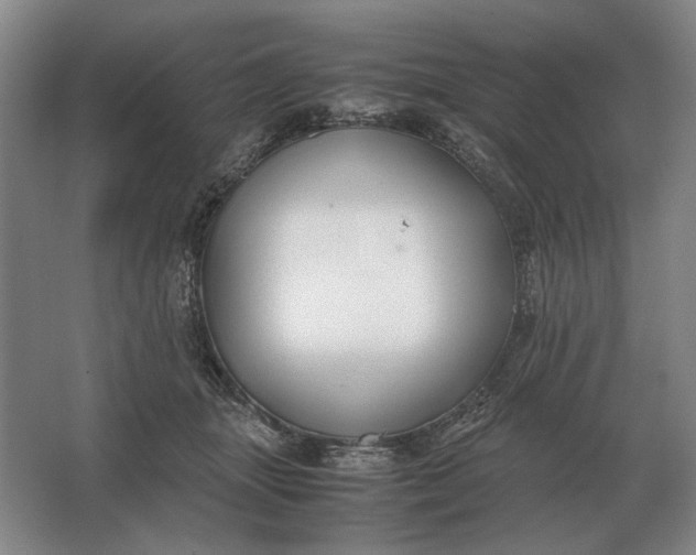 X0000062920463200601271810