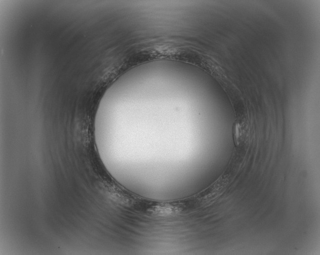 X0000062920464200601271810