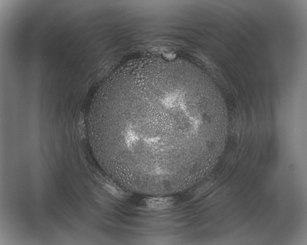 X0000062920465200601271810