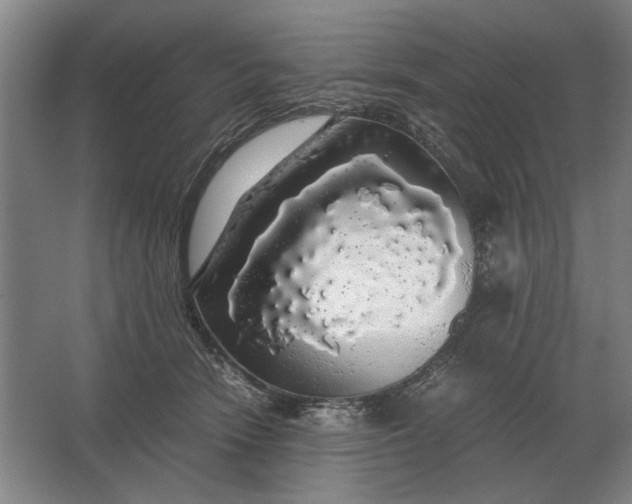 X0000062920466200601271810