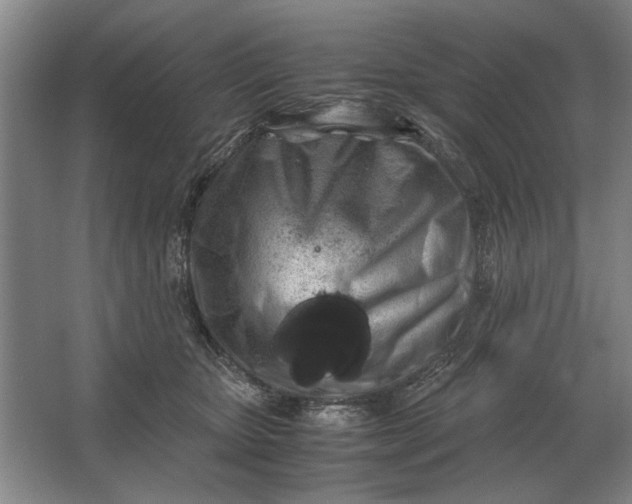 X0000062920467200601271810