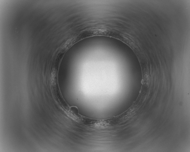 X0000062920468200601271810