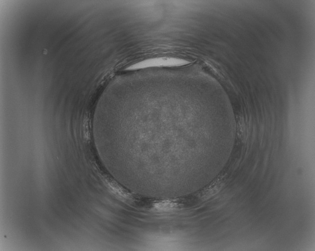 X0000062920470200601271810