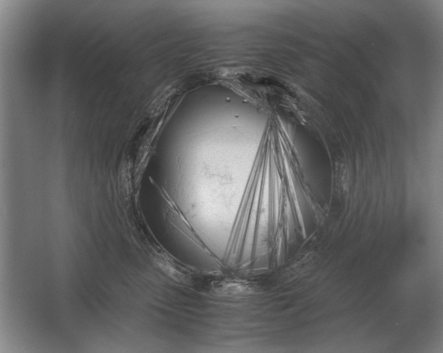 X0000062920475200601271810