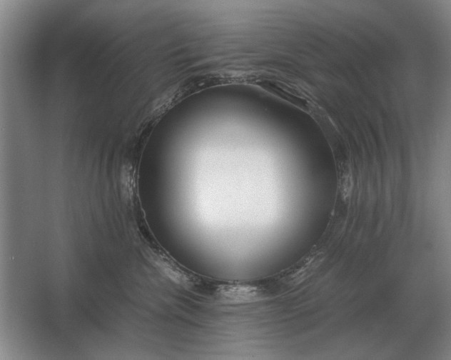 X0000062920476200601271810