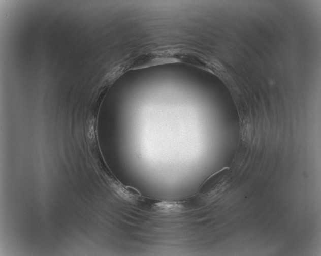 X0000062920477200601271810