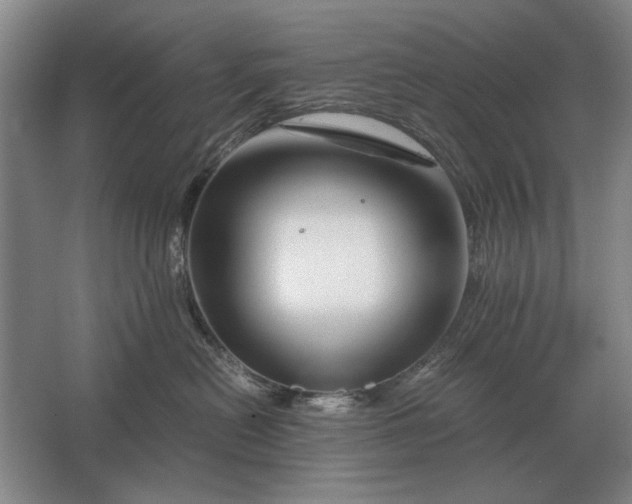 X0000062920478200601271810