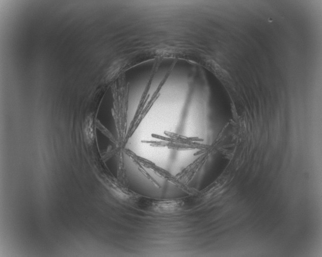 X0000062920479200601271810