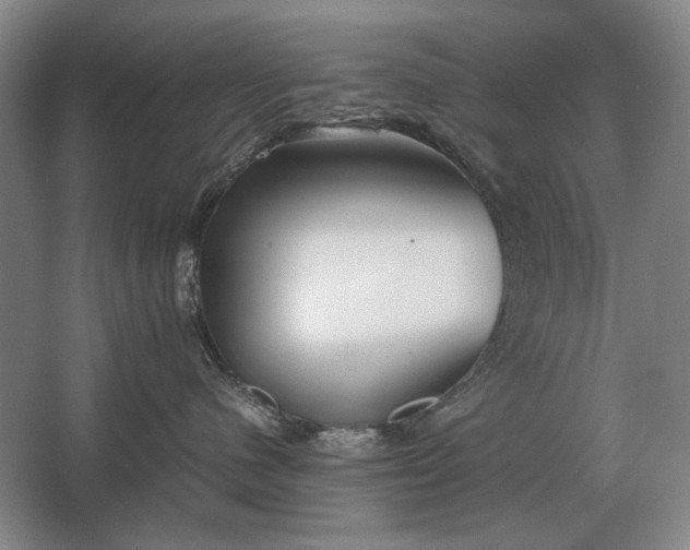 X0000062920480200601271810