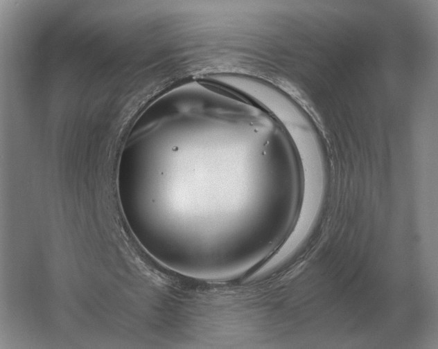 X0000062920481200601271809