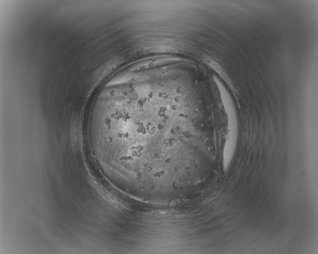 X0000062920482200601271809