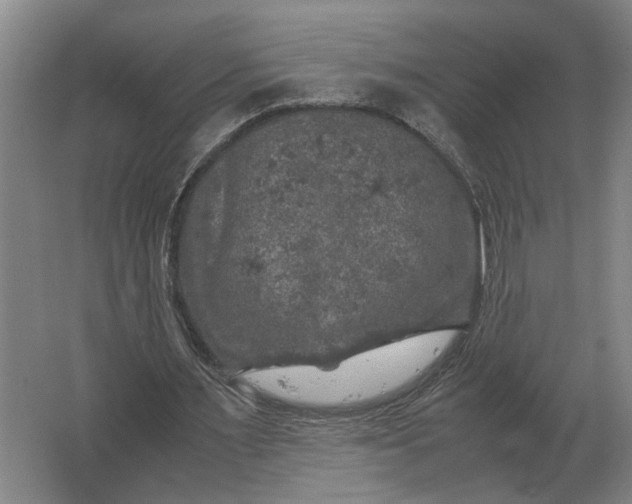 X0000062920483200601271809