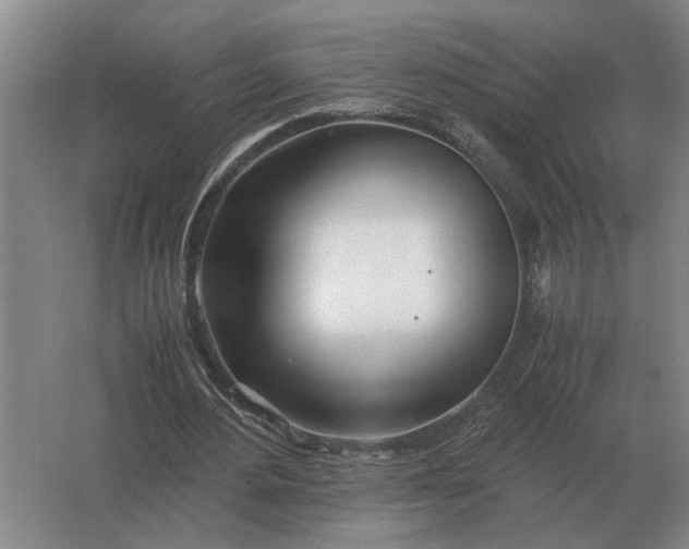 X0000062920484200601271809