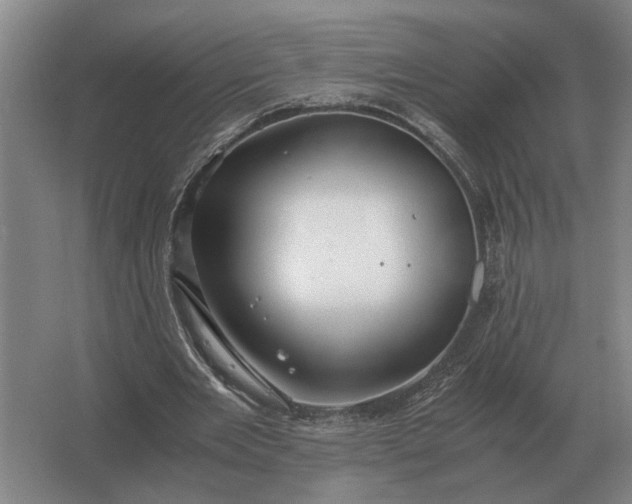 X0000062920485200601271809