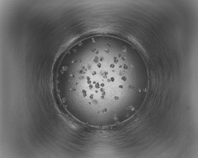 X0000062920486200601271809