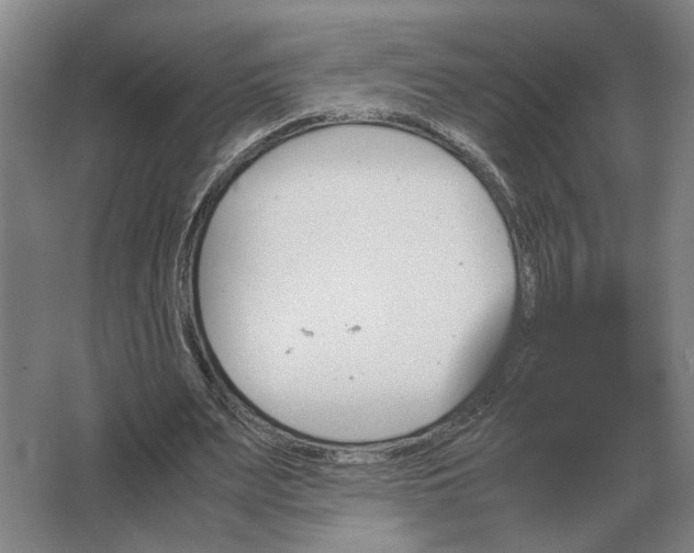 X0000062920487200601271809